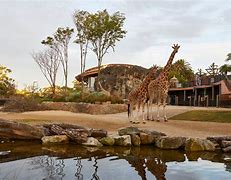 Image result for African Zoo Entrance