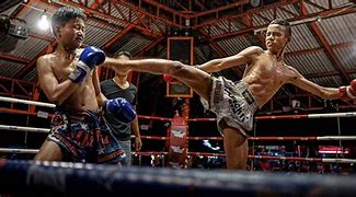 Image result for Muay Thai Thailand