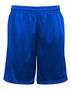 Image result for Mesh Unlined Shorts