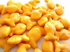 Image result for Goldfish Chips