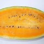 Image result for Orange Watermelon
