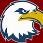 Image result for Eagle Outline Graphic