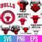 Image result for Chicago Bulls Black and White