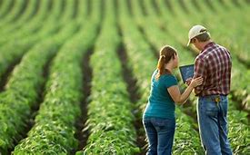 Image result for People Growing Crops