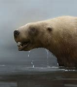 Image result for Ancient Otter Bear