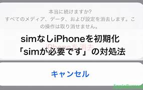 Image result for iPhone 2 Sim