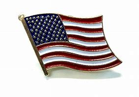 Image result for Small US Flag Pins