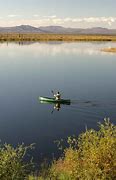 Image result for Calm Water Resistance