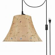 Image result for Swag Light Fixture Plug In