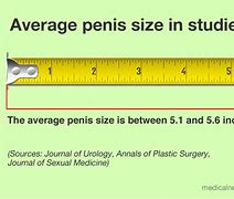 Image result for How Long Is 30 Centimeters in Inches