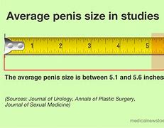 Image result for 6 Inch Ruler Printable Actual Size