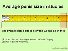 Image result for How Long Is 6 Inches