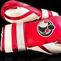 Image result for Jake Paul Grant Boxing Gloves