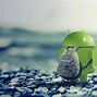 Image result for Android Software Development Kit