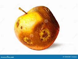 Image result for Old Rotten Apple