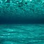 Image result for Underwater Backgrounds Beach