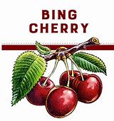 Image result for Bing Ai Official Site