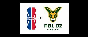 Image result for NBL Oz Gaming eSports