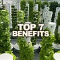 Image result for Agrotonomy Tower Farms