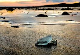 Image result for Sea Glass Secrets