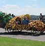 Image result for Pineapple Car