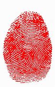 Image result for Best iPhone 15 Color Fingerprints