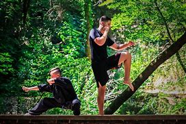 Image result for Martial Arts Techniques