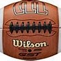 Image result for Leather Football Cane