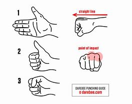 Image result for Fist Fighting Styles