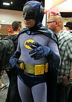 Image result for Adam West Batman Costume