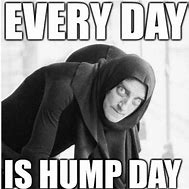 Image result for Hump Day Giraffe Meme