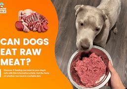 Image result for Eat Raw Meat