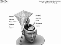 Image result for Cognitive Science 5 Senses