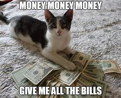 Image result for Cash Money Cat Meme