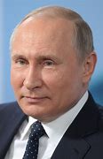 Image result for Putin Ukraine