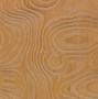 Image result for Fir Wood Texture