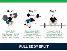 Image result for Full Body Workout Split