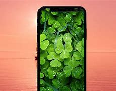 Image result for iPhone Ka Apple Ki Pictures