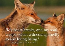 Image result for Animal Suffering Quotes
