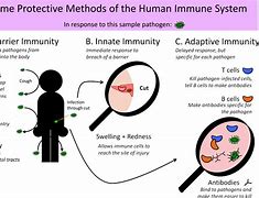 Image result for Human Disease and Conditions Diagram of Skin