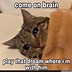 Image result for Ominous Cat Memes