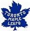 Image result for Toronto Maple Leafs Icon