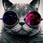Image result for Cool Cat 1080X1080