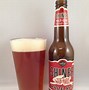 Image result for Ale Beer Examples