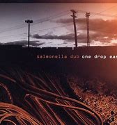 Image result for Salmonella Dub Band