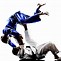 Image result for Samurai Aikido