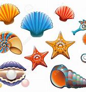 Image result for Clip Art Coquillage