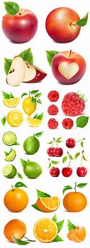Image result for Realistic Vector Fruit