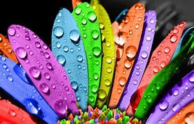 Image result for Bright Color Wallpaper