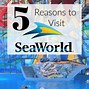 Image result for seaworld san antonio